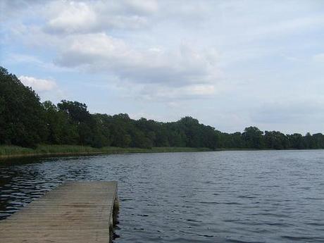 See & Schilf Seenlandschaft in Mecklenburg