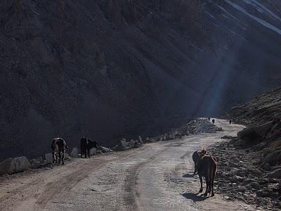 Sechs Tage verschollen in Ladakh