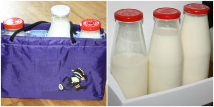 Einkauf und Aufbewahrung von Milch