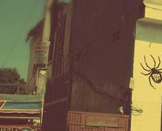 wallpaper-1689754