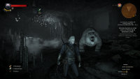 Witcher 3 -  In der Höhle des Eisbären
