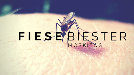 fiese biester - keine reiseimpfung gegen moskitos