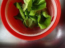 Flickr - cyclonebill - Grøn salat