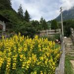 Hotel Weiß in Südtirol – Glutenfrei kann so normal sein Hotel Weiß - Aktivitäten