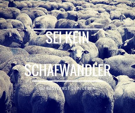Sei kein Schafwandler - bestimmt dein Leben