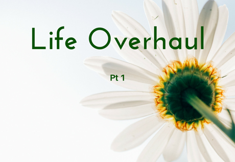 Life Overhaul - Pt 1