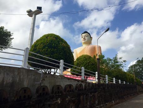 Sri Lanka: Viele Palmenhörnchen und ein riesiger Buddha