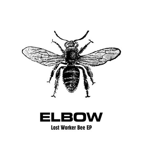 Elbow: Der Stolz der Arbeitsbiene