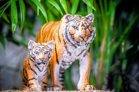 Kuriose Feiertage - 29. Juli - Internationaler Tag des Tiger - International Tiger Day (c) 2015 Sven Giese -1