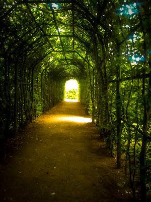 SEINSORIENTIERTE KÖRPERTHERAPIE (22) SEINSORIENTIERTE KÖRPERTHERAPIE (22)