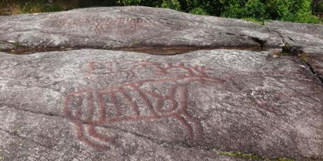 Skandinavien: der Steinzeitler mag Elch