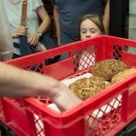 Das Sommerfest der Maisterei mit Tag der offenen Türe in Solms Ist das mein Brot ?