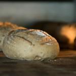Das Sommerfest der Maisterei mit Tag der offenen Türe in Solms Das Wunschbrot im Ofen