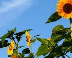 wallpaper-1689754