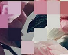 wallpaper-1689754
