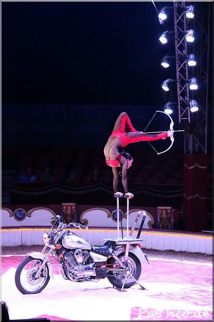 Circus Belly Wien in Rheeze (Niederlande) am 15.08.2015