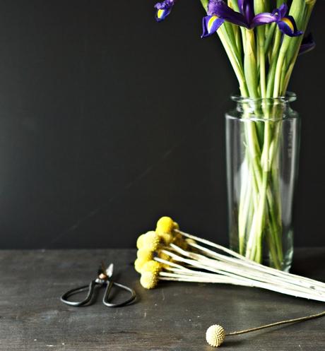 Blog & Fotografie by it's me! - Rainfarn mit lilafarbenen Iris und eine alte Schere