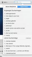 iTunes Screenshot - getrennte Suche