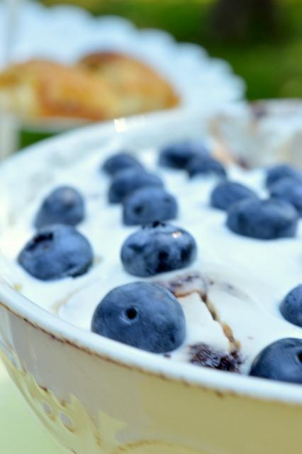 Ein sommerlicher Blaubeertraum - Blueberry Chocolate Meringue Trifle