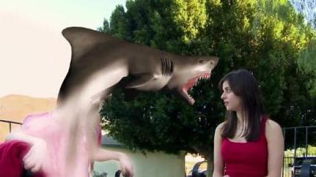 Review: 90210 - SHARK ATTACK IN BEVERLY HILLS & GEFESSELT- LIEBE.EHRE.GEHORSAM. – Im Fahrwasser von “Sharknado” und “Fifty Shades of Grey”