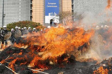 “Mitten in Brüssel brennen Scheiterhaufen und Heuballen…