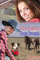 [Lesetipp] Lita Harris und ihre Cowboy Romance Serie