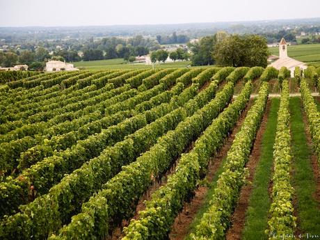 Reisetipps-Frankreich-Urlaub-Übernachtung-Bordeaux-Wein-Confiture-de-vivre 6