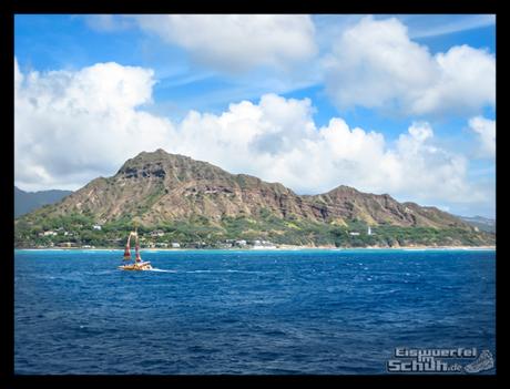 EISWUERFELIMSCHUH - Hawaii Oahu Reise Insel Erlebnisse (2)