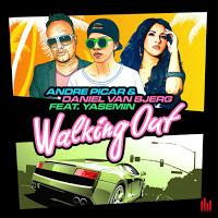 Andre Picar & Daniel Van Bjerg feat. Yasemin - Walking Out