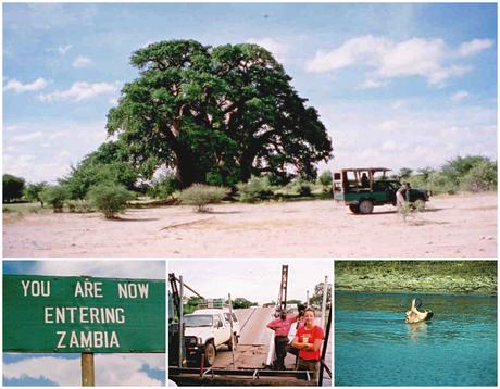 collage-Safari-Botswana-Sambia