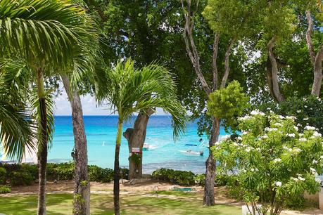 Barbados Reise - Reiseblog ferntastisch
