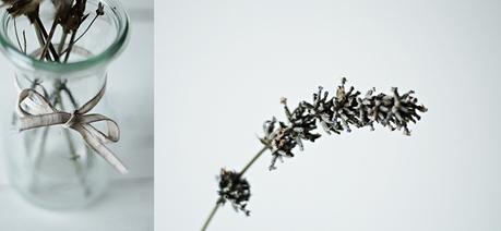 Blog + Fotografie by it's me! - Collage eines getrockneten Lavendelzweigs und einer Glasflasche