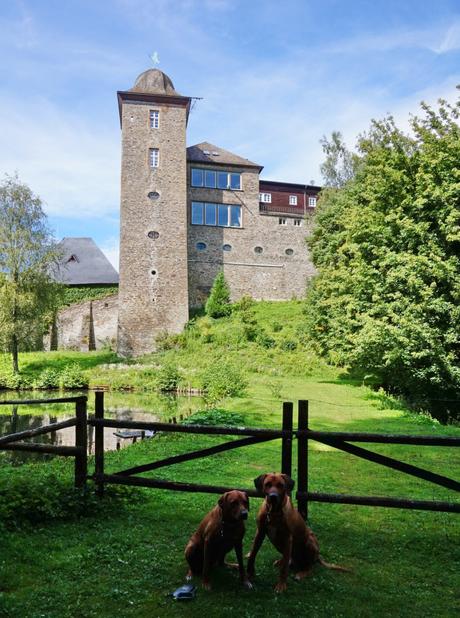 Burg Schnellenberg Attendorn Wandern 6