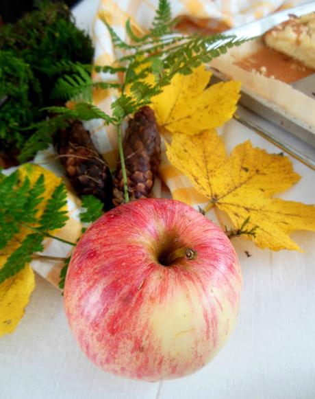 Herbstzeit ist Backzeit: Apfel-Schmand-Kuchen mit Zimtstreuseln