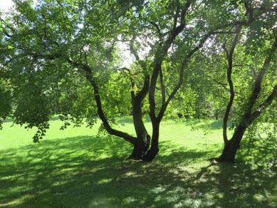 Unterwegs in der Steiermark Unterwegs in der Steiermark