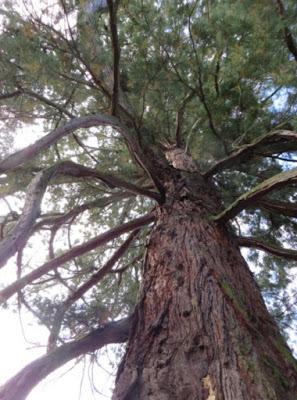 Unterwegs in der Steiermark Unterwegs in der Steiermark