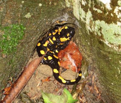 Unterwegs in der Steiermark Unterwegs in der Steiermark