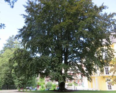 Unterwegs in der Steiermark Unterwegs in der Steiermark