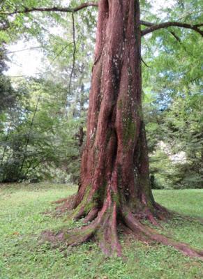 Unterwegs in der Steiermark Unterwegs in der Steiermark