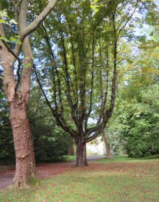 Unterwegs in der Steiermark Unterwegs in der Steiermark