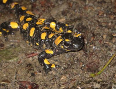 Unterwegs in der Steiermark Unterwegs in der Steiermark