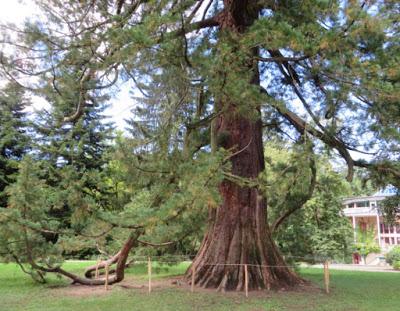 Unterwegs in der Steiermark Unterwegs in der Steiermark