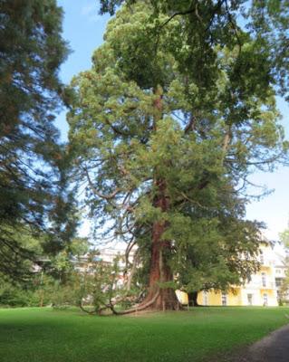 Unterwegs in der Steiermark Unterwegs in der Steiermark
