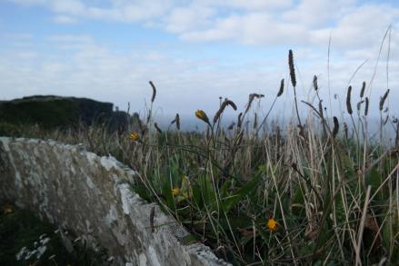 Burren Way 04: Doolin bis Lahinch