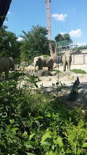 Tierpark Hellabrunn - der Zoo Münchens