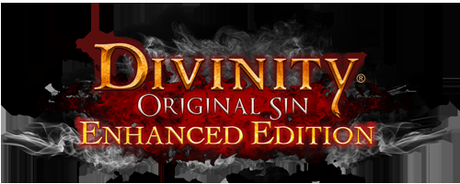 Divinity Original Sin: Enhanced Edition - Im Handel erhältlich