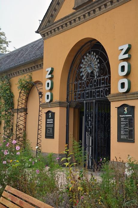 Zoo Heidelberg (02)