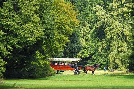 Fürst-Pückler-Park Bad Muskau - Ein Idyll zum Wandern, Radfahren und Entspannen