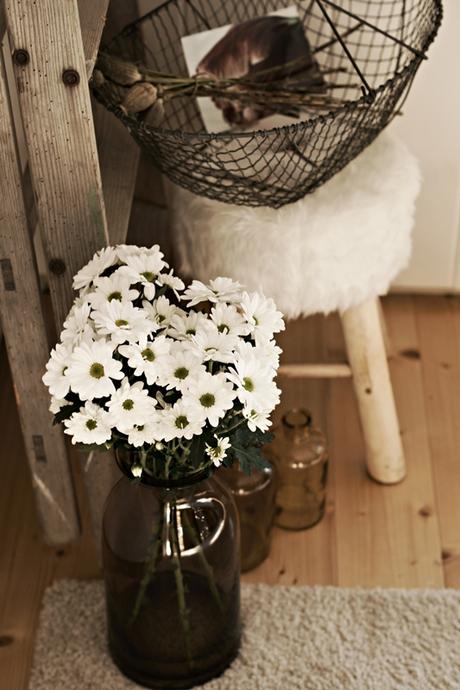 Blog + Fotografie by it's me! - weiße Chrysanthemen in brauner Glasvase mit alter Leiter, Fellhocker und Drahtkorb