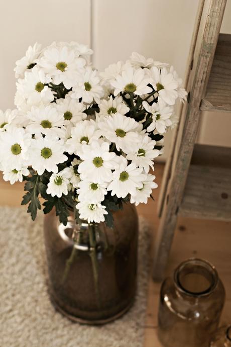 Blog + Fotografie by it's me! - weiße Chrysanthemen in brauner Glasvase auf weißem Teppich